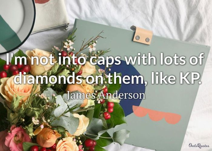 Jewelry Quote - Diamond and Gold Jewelry | Jewelry quotes, Jewelry ...